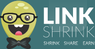 LinkShrink Review
